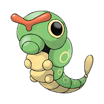 caterpie