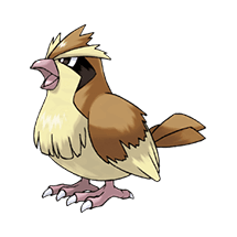 pidgey